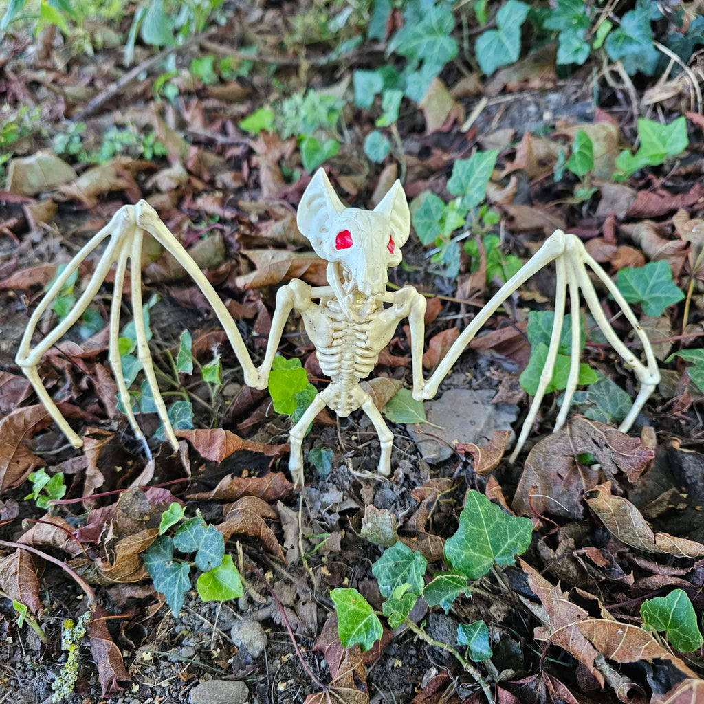 Halloween-Schädel-Fledermaus-Skelett-Dekoration image 1