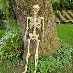 Halloween bewegliches Skelett image 0