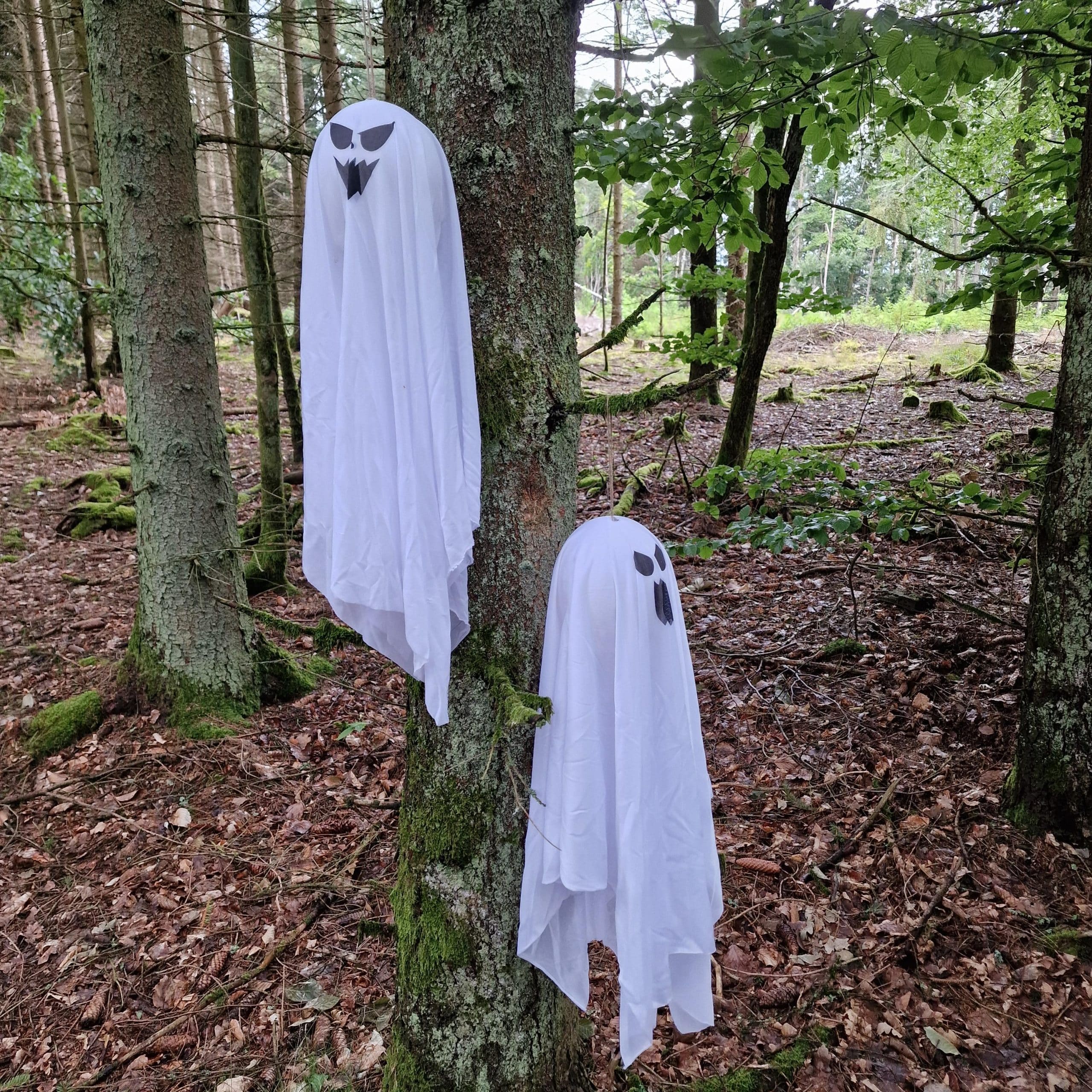 Hängende Gespenster Hui und Booo image 0