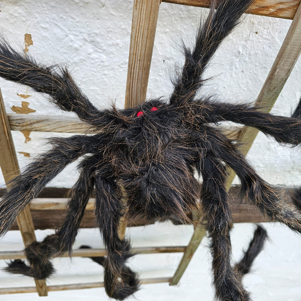 Gruselige Horror Riesenspinne image 1