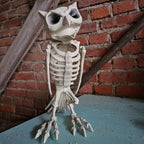 Schaurig schöne Skelett Eule image 0