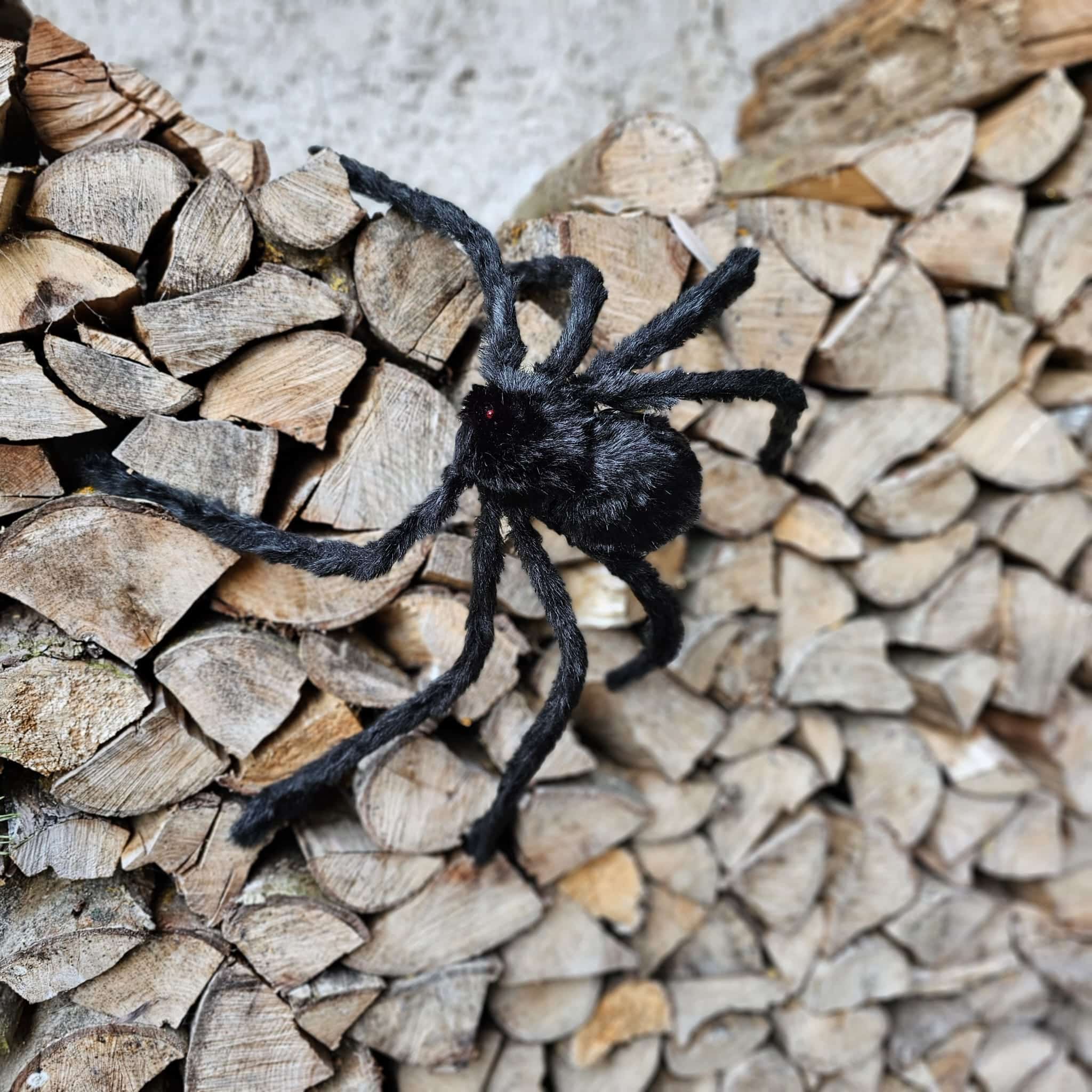 Gruselspinne mit LED Augen image 0