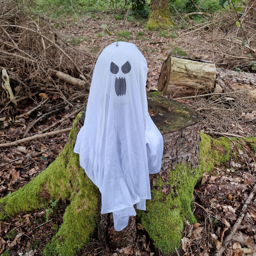 Hängende Gespenster Hui und Booo image 1