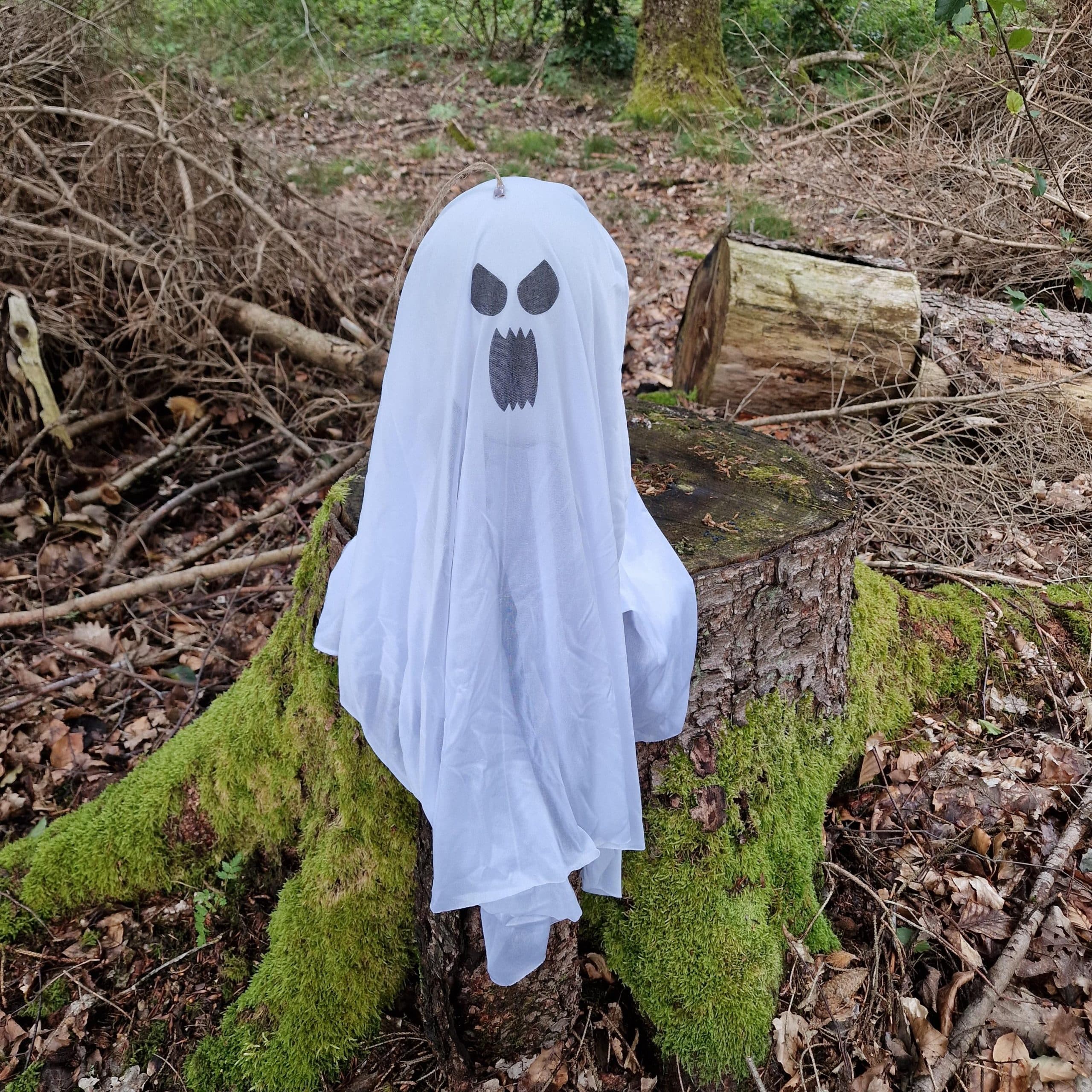 Hängende Gespenster Hui und Booo image 1