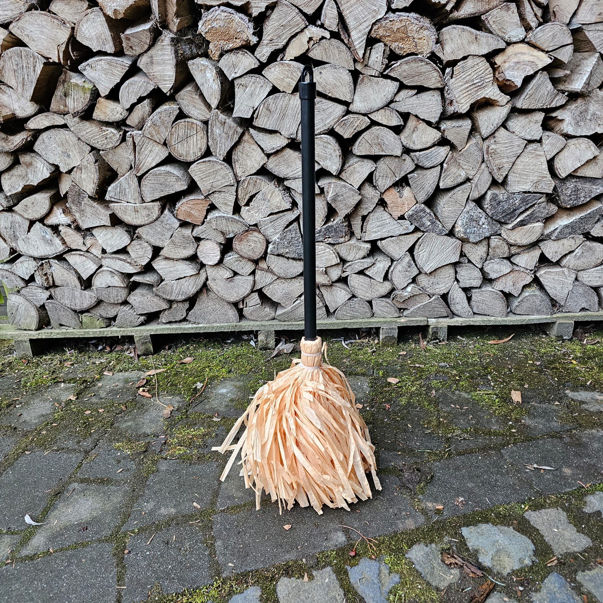 Hexenbesen Spooky Sweep image 0