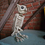 Schaurig schöne Skelett Eule image 1