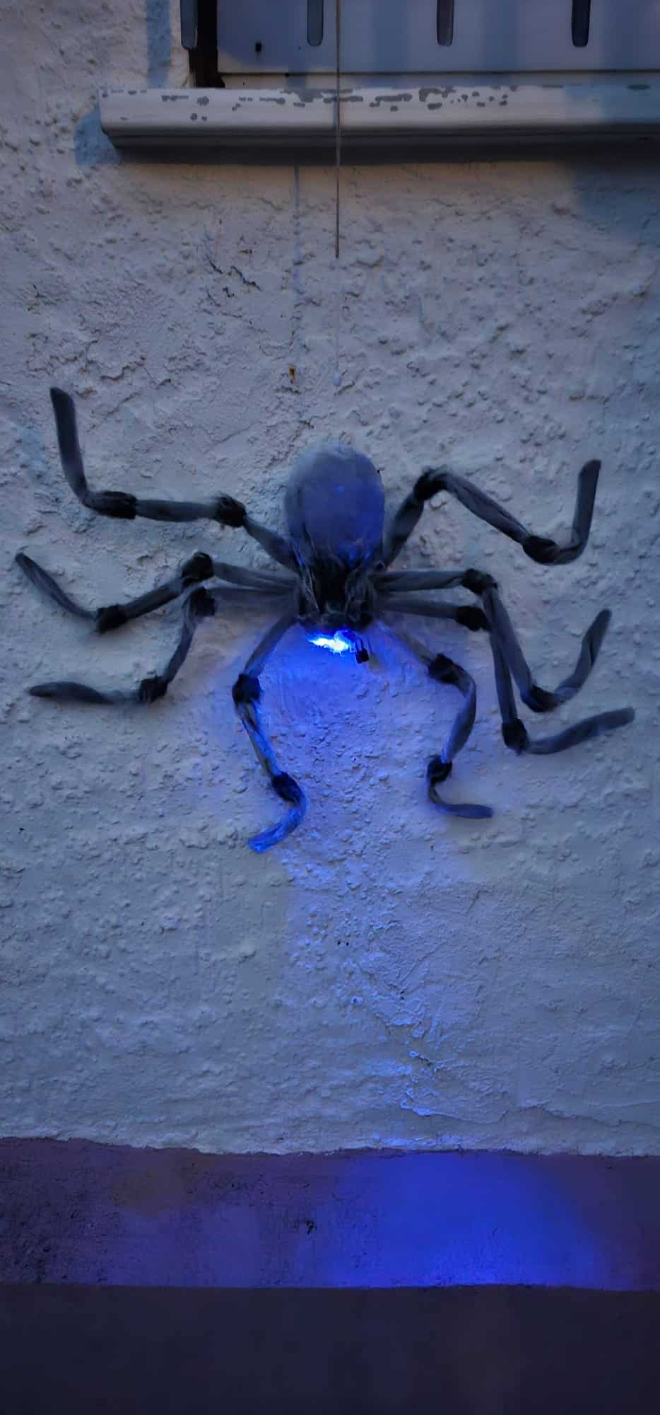 Gruselige Animatronic Spinne mit LED-Augen image 0