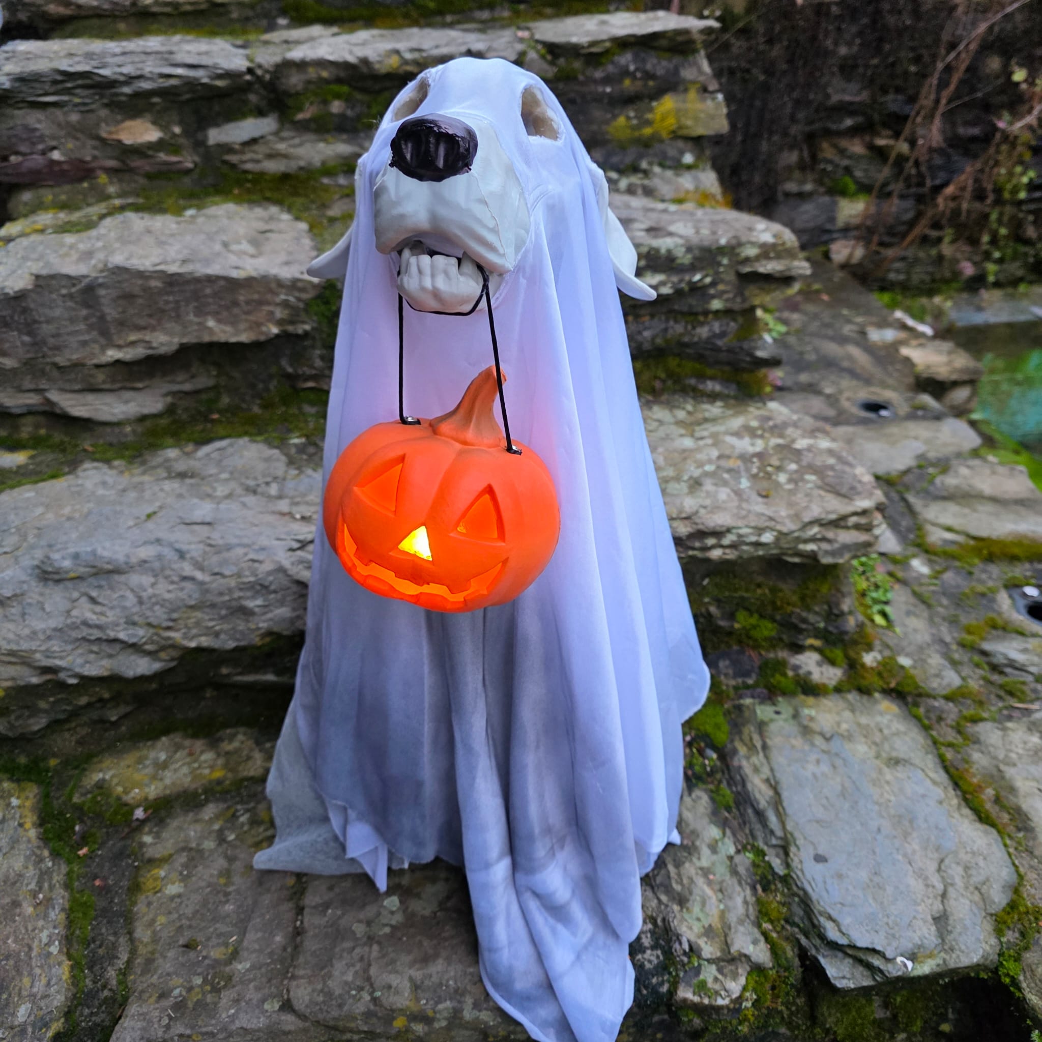 Geisterhund „Busco“ mit Kürbis-Laterne – 57 cm Halloween Deko