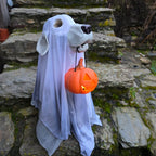 Geisterhund „Busco“ mit Kürbis-Laterne – 57 cm Halloween Deko