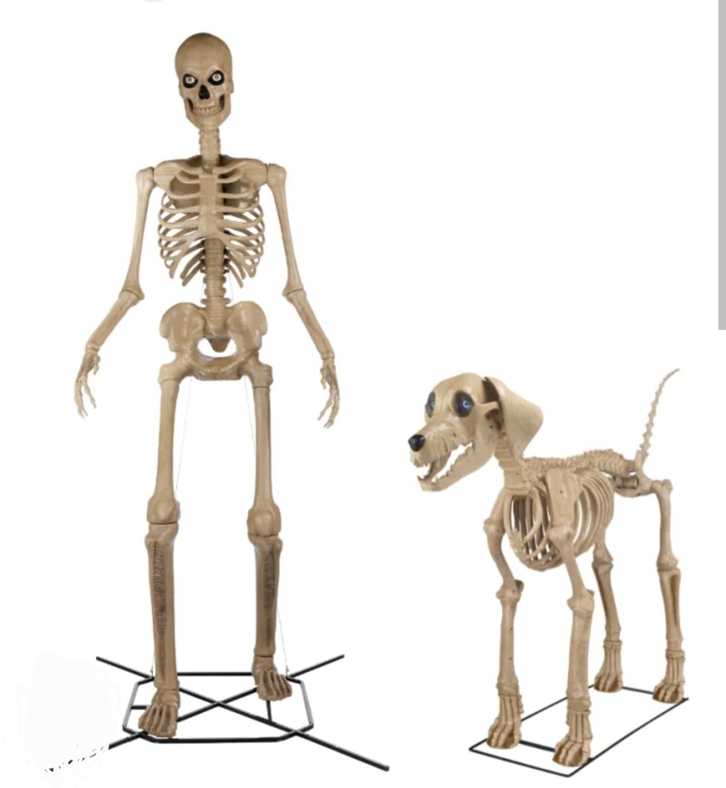 XXL ( 7ft ) Skelett Hund 213 cm mit LCD Augen Home Depot
