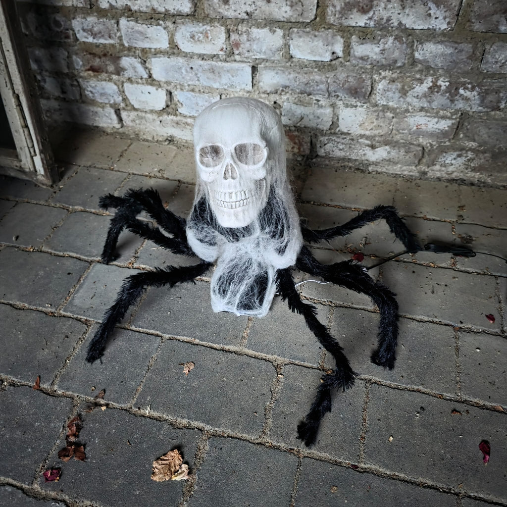 🕷️ Springende Spinne mit Totenkopf – Schocker pur!