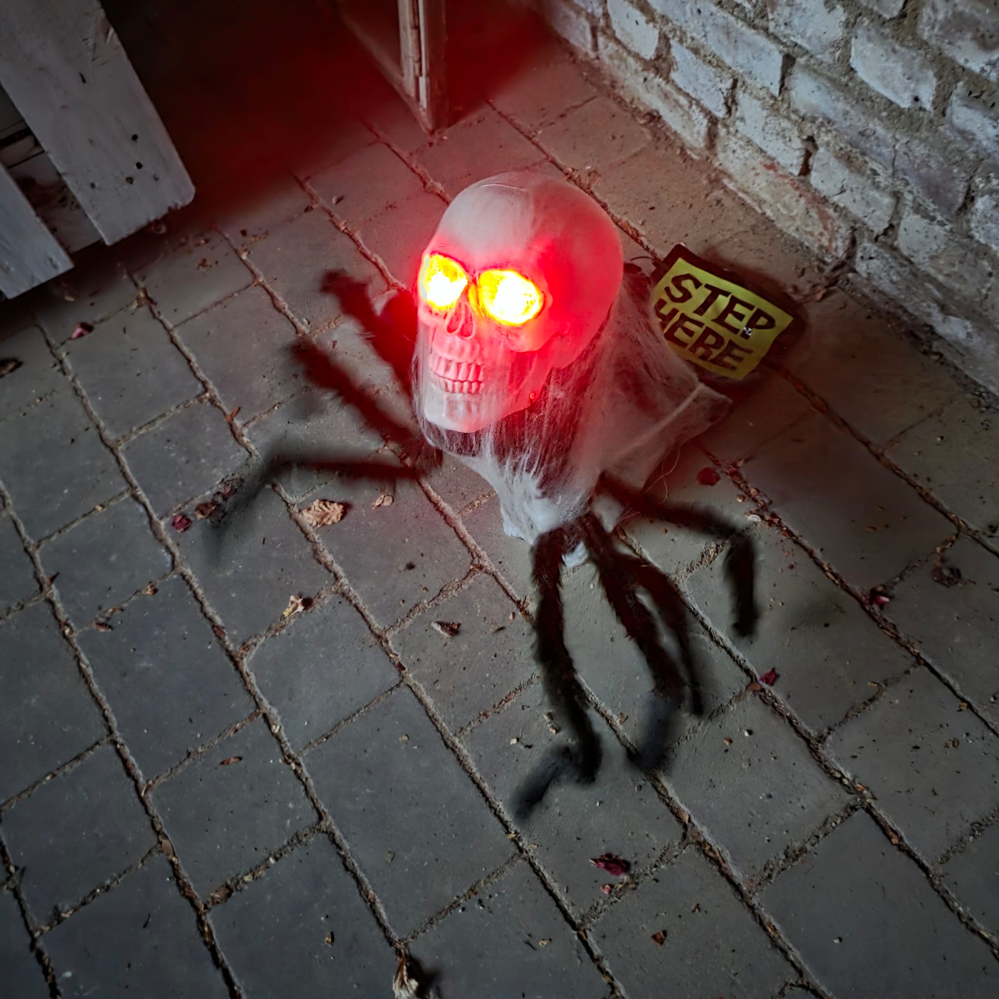 🕷️ Springende Spinne mit Totenkopf – Schocker pur!