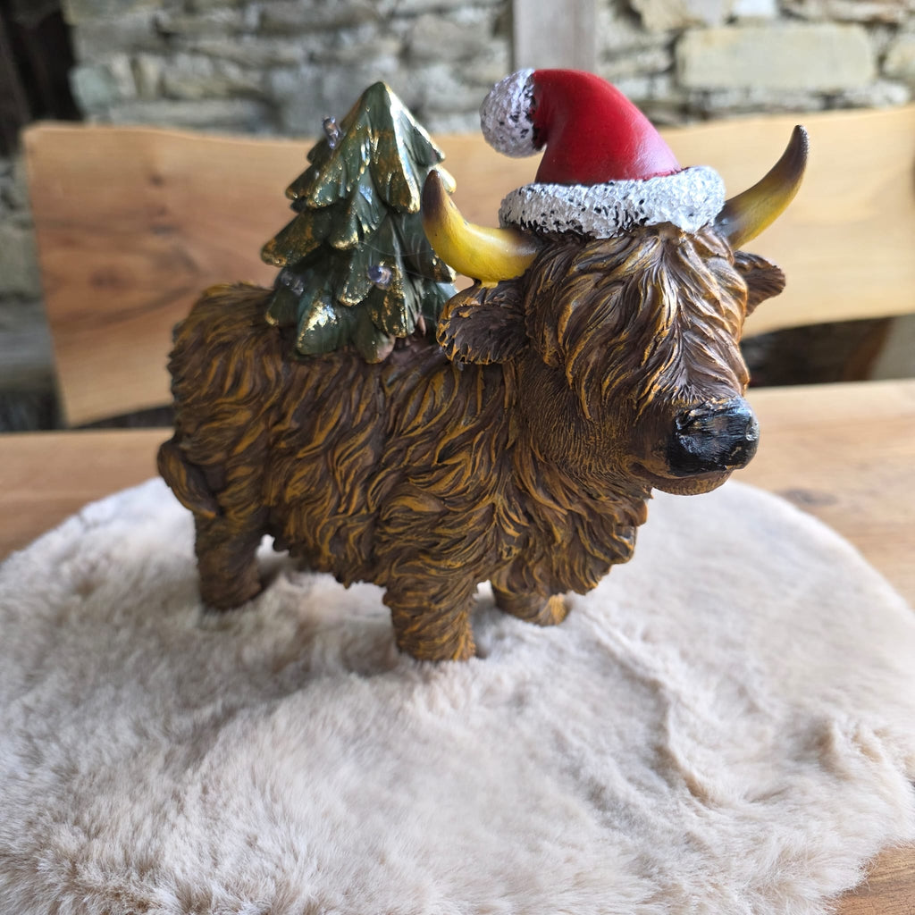 Highland-Rind Emil – der weihnachtliche Bruder von Hugo