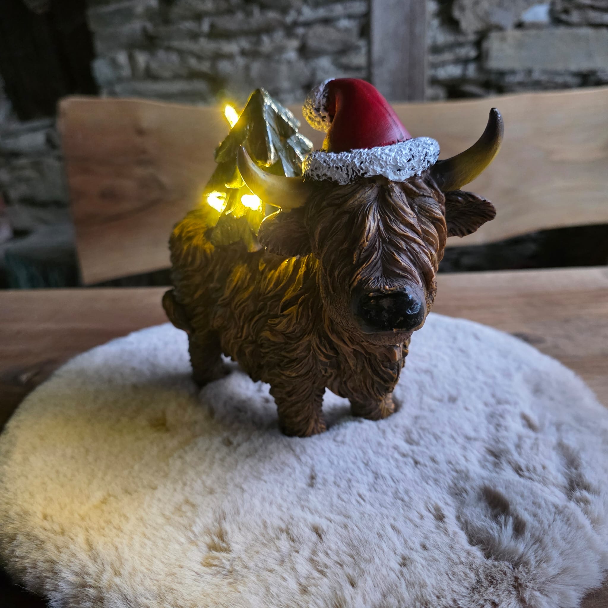 Highland-Rind Emil – der weihnachtliche Bruder von Hugo