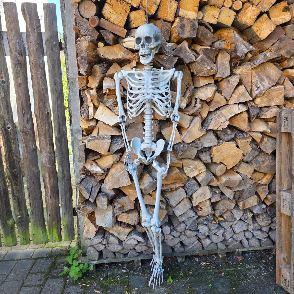 Skelett 165 cm – Vielseitige Halloween-Dekoration