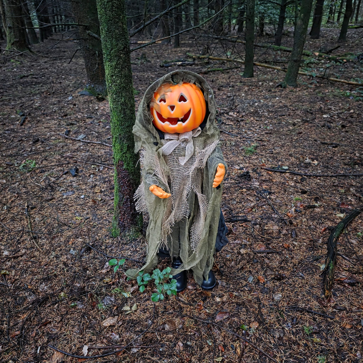 Spooky Hollow – Die niedliche Kürbispuppe mit dem bösen Überraschungseffekt 🎃