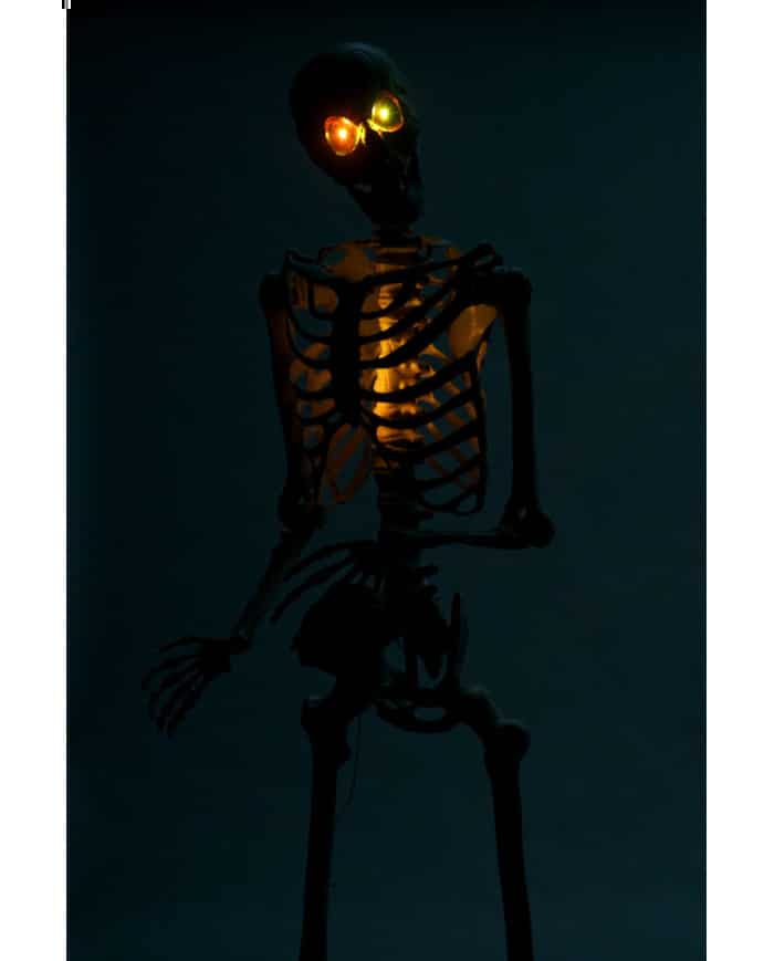 Gigantisches Halloween Skelett XXL image 3