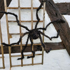 Gruselige Horror Riesenspinne image 0