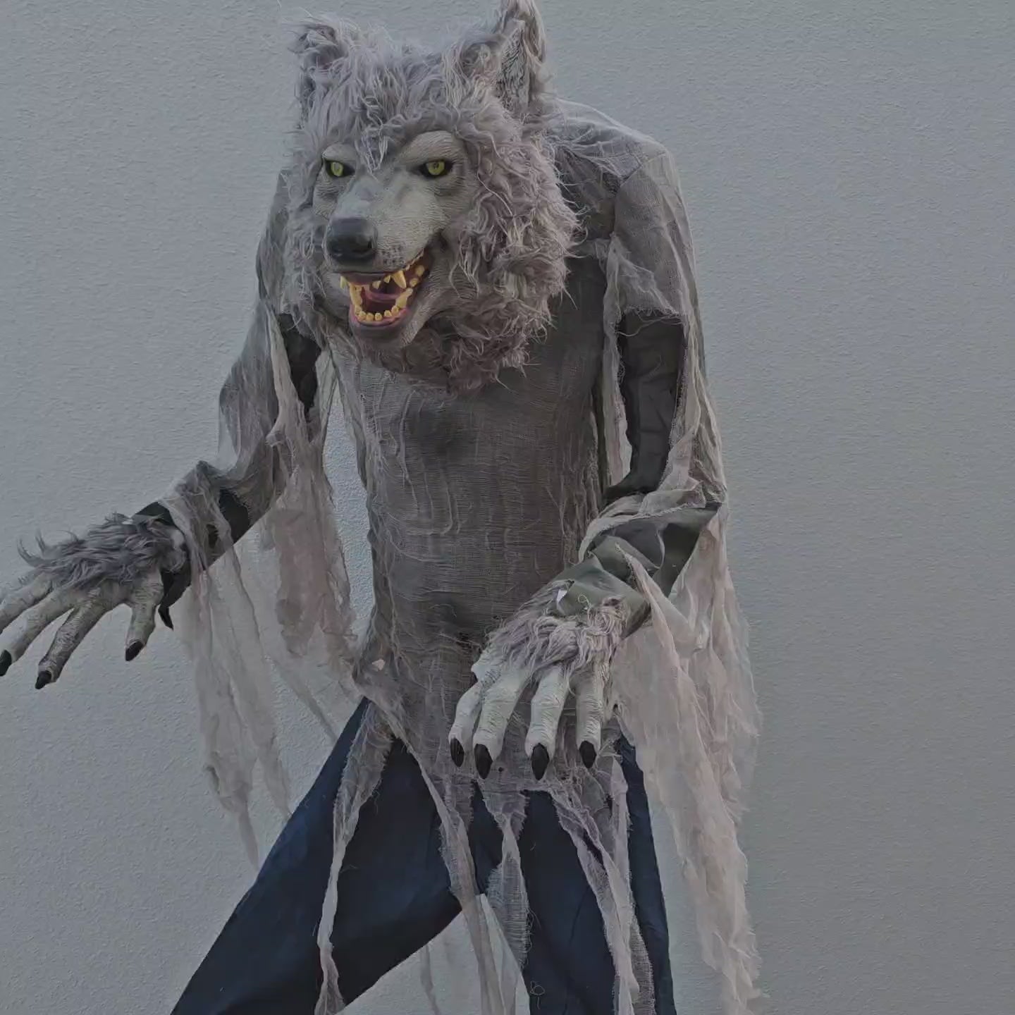 Schauriger Werwolf Animatronic - 215cm