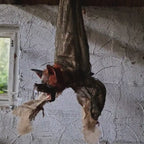 Horror Animatronic Fledermaus hängend