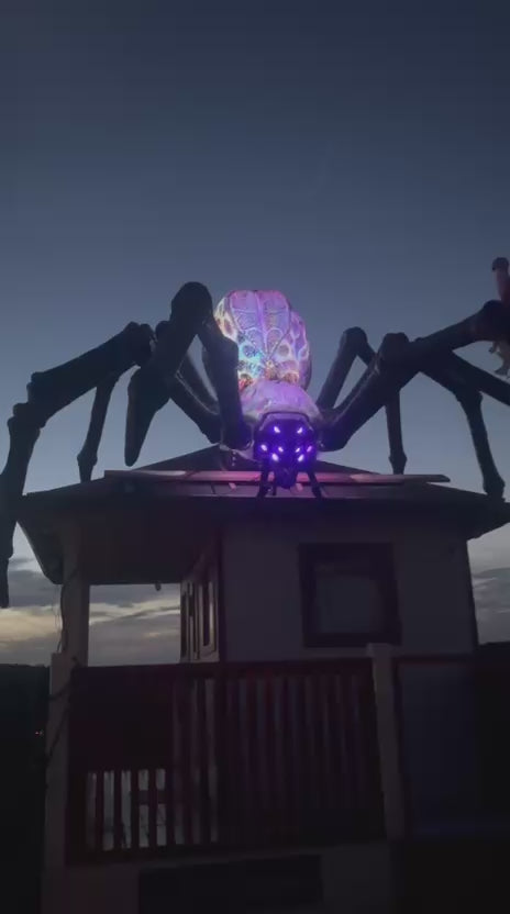 Home Depot „Arachnophobia“ LED-Spinne – Original aus den USA