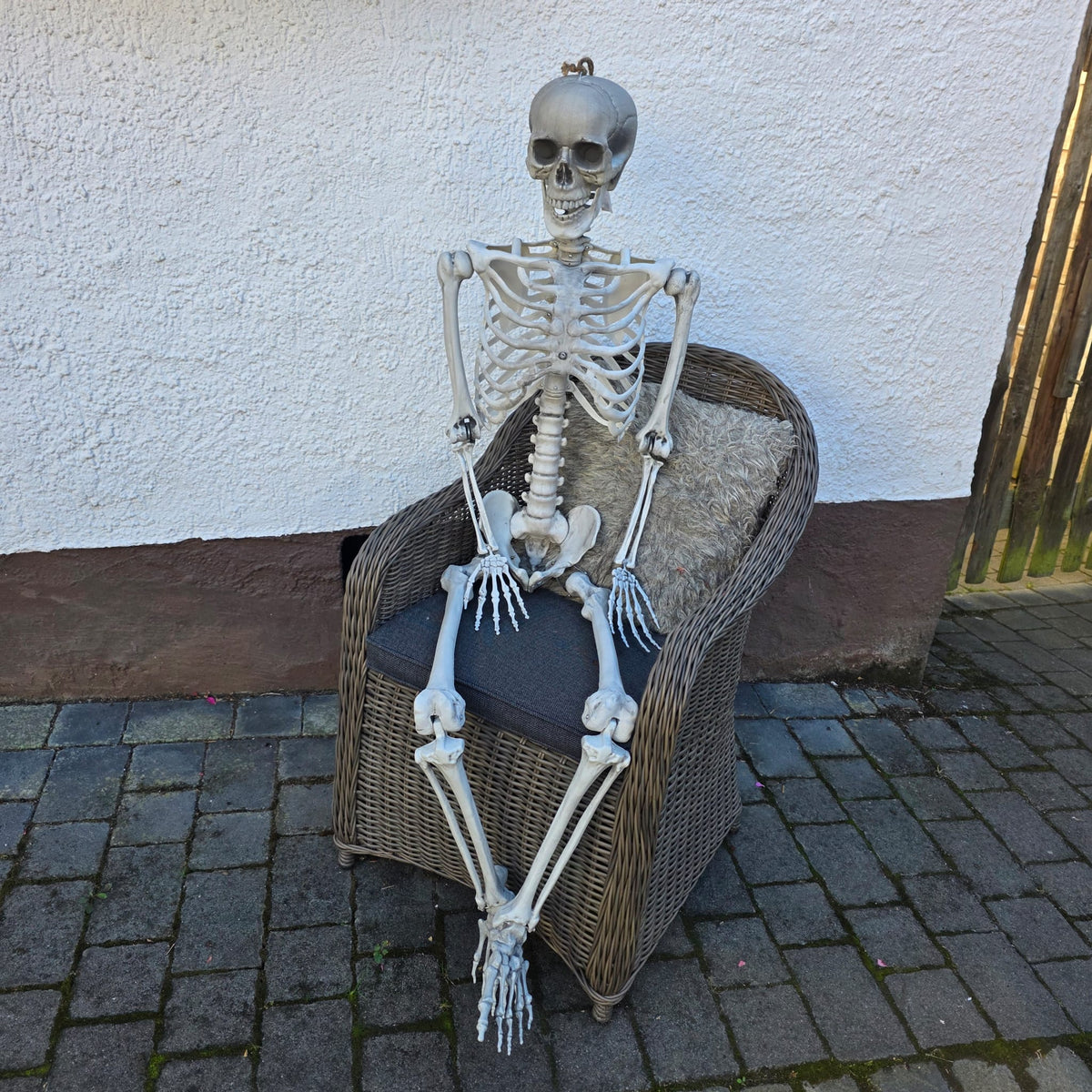 Skelett 165 cm – Vielseitige Halloween-Dekoration