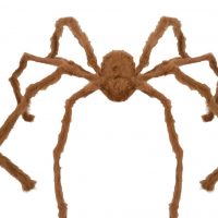 Gruselige Riesenspinne