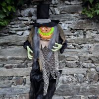 Monstero Kürbis