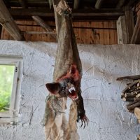 Horror animatronic Fledermaus hängend
