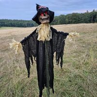 Gruselige Vogelscheuche