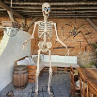 Gigantisches Halloween-Skelett mit animierten LCD-Augen