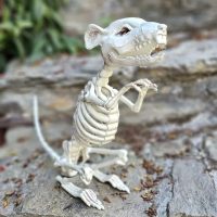 Sitzende Skelett Ratte