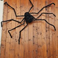 Gigantische gruslige Riesen Spinne