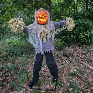 Animatronic Vogelscheuche Harry – 189 cm purer Halloween-Grusel Video Bild